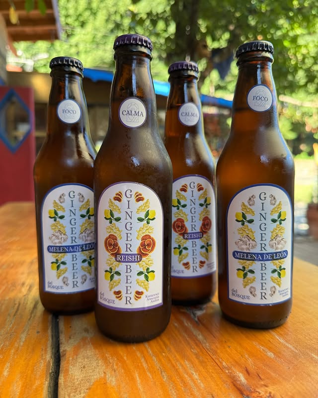 Ginger Beer del Bosque